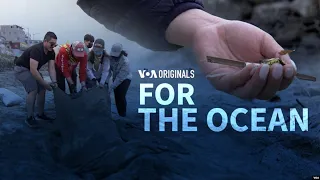 For The Ocean | 3 Friends Fight Marine Plastic Pollution | 52 Documentary