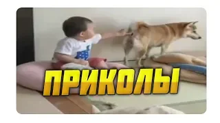 #ПРИКОЛЫ за Сентябрь 2018 | BEST COUB 2018 ▶ 74