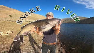 SNAKE RIVER Catfish︱Catfishing
