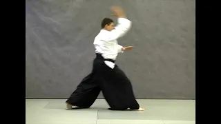 Shomen uchi | Справочник техник айкидо | Aikido techniques reference