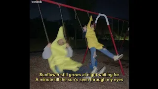 Sunflower (lyrics) - Rex Orange County