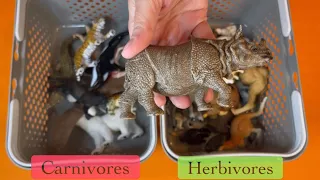 NEW 😊 Herbivores or Carnivores | Learn about what animals eat | animal toys | wild animals