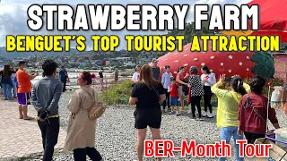 BENGUET's STRAWBERRY FARM TOUR +Jeepney Ride From Baguio City to La Trinidad | BAGUIO-BENGUET TRAVEL