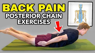 5 Exercises to Alleviate Back Pain (Posterior Chain Strengthening)