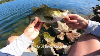 Devilbend landbased BFS fishing