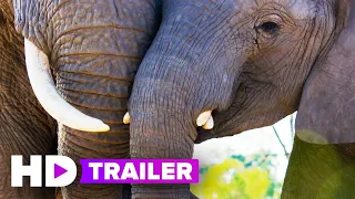 DISNEYNATURE’S "ELEPHANT" & "DOLPHIN REEF" Trailer (2020) Disney+