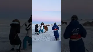 Buryat girls train wild horses