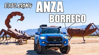 Things Don't Always Work Out!!! - Exploring Anza Borrego and Borrego Springs