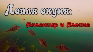 Ловля окуня зимой - балансир и блесна. Подводная съемка