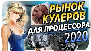 Рынок кулеров 2020