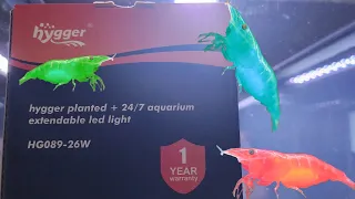 CHEAP But GOOD Aquarium Light for Shrimp Tanks and Low Light Planted Tanks