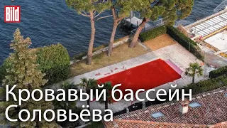 Акция протеста у виллы Владимира Соловьёва