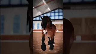 ⚠️FW⚠️ Ardennes Horse #starstable