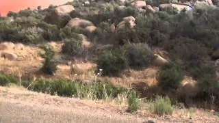 FULL Helmet Camera Video from Yarnell Hill Fire (M2U00265)