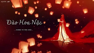 【Vietsub + Pinyin】Đào Hoa Nặc - Vương Tử Tiểu Kiều ( cover ) | 桃花諾 - 旺仔小喬