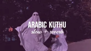 Arabic kuthu (slowed+reverb) || thalapathy vijay || Pooja hedge || Lofi mix || RS