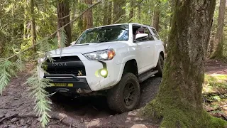 Land Rover Discovery 2 and 5th Gen 4Runner TRD Pro take on Vancouver Island Trails.