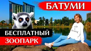 FREE ZOO IN BATUMI, GEORGIA | Park May 6, Batumi Zoo | ENG SUBS