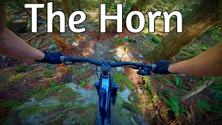 The Horn - Blanchard Mountain MTB