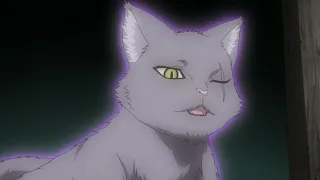 Богиня-кошка из Яойорозу [сейнен, комедия, повс-сть]  Марафон   Все серии подряд  Trina D