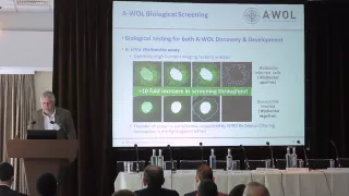 Mark Taylor A-WOL, a Drug Discovery and Development Programme