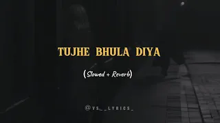 Tujhe Bhula Diya | ( Slowed & Reverb ) | Licshadow Music