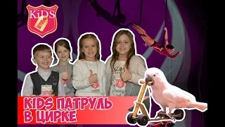 KiDS Патруль  Тюмень  Цирк на воде