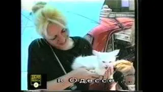 Котэ умеет гавкать. 1996 год.