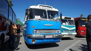 7. Ikarus-Bus-Treffen in Deutschland - Chemnitz 3.06.2023