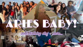 20th birthday vlog! (anniversary picnic, haul, bday surprise)