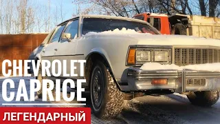 Покупаем и оживляем старый CHEVROLET CAPRICE CLASSIC '79