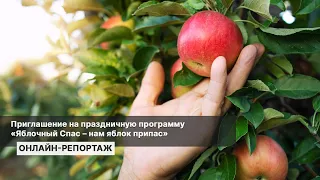 Приглашение на праздничную программу «Яблочный Спас – нам яблок припас». Репортаж