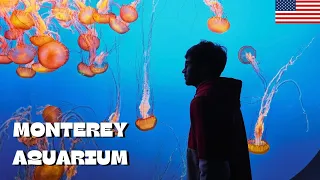 I Visited Monterey Bay Aquarium for FREE