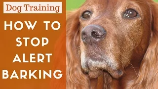How To Train A Dog To Stop Alert Barking