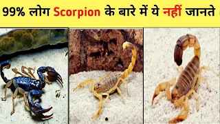 99% लोग Scorpion  के बारे में ये नहीं जानते 😱🤔 Amazing facts about Scorpion #facts #shorts