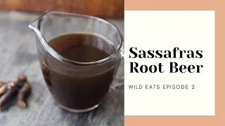 How to Make Root Beer using Sassafras #foraging #forager #recipes