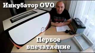 Инкубатор OVO-78//Первое впечатление