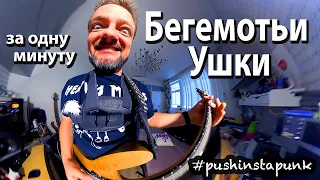 🤪 Бегемотьи Ушки 🤟 🎸 #pushinstapunk