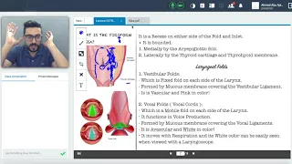 علم تشريح الحنجرة ٢ - جامعة راولبيندي  Anatomy of the Larynx 2 - Rawalpindi University