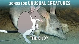 The Easter Bilby? | Unusual Creatures | PBS Digital Studios