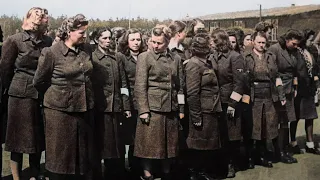 The Execution Of The Female Guards Of Bergen-Belsen