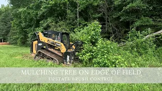 Mulching Fallen Tree on Edge of Field