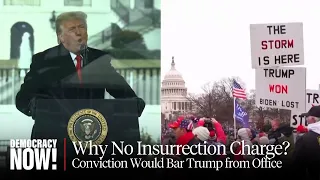 Why No Insurrection Charge? Ralph Nader on How Trump Could Still Be Reelected Unless DOJ Acts