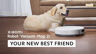 Xiaomi Robot Vacuum-Mop 2i - Your new best friend