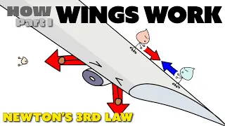 How Wings Work and Create Lift - Newton's 3rd Law of Motion