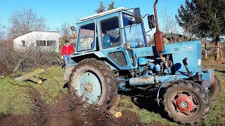 Mtz - Belarus tractor vs tree, pulling 2020 4k