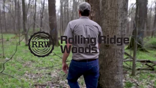 Veneer Logs & Timber Processing - Rolling Ridge Woods