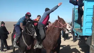 ЖЫРЫҚ ауылы 21 02 2024 Өгіз салымын салған шабандоз ЖАМБЫЛ Көкпарды жарды міне нағыз шабандоз