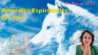 Lobo significado espiritual. Totem