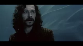 The Death of Sirius Black